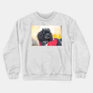 Look over there Crewneck Sweatshirt